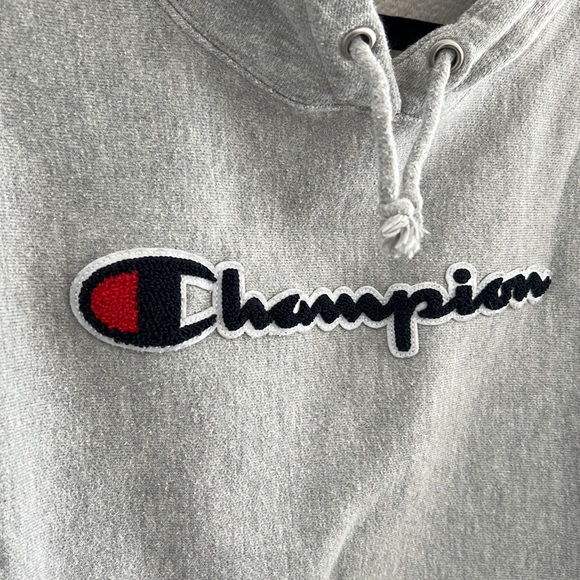 Textured Champion Hoodie - Picture 2 of 4